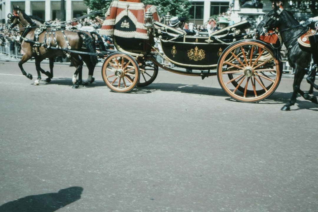 princess diana funeral